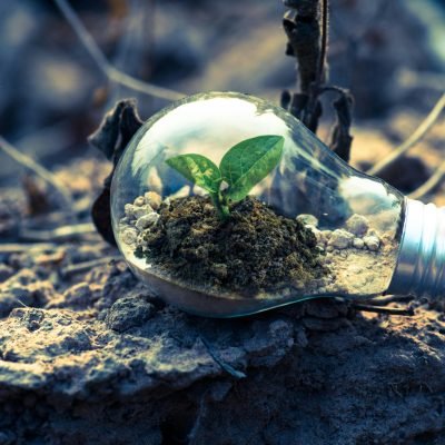 Quels métiers seront recherchés demain ?