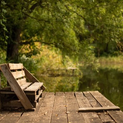 A wooden bench on the deck on the lake surrounded by greens