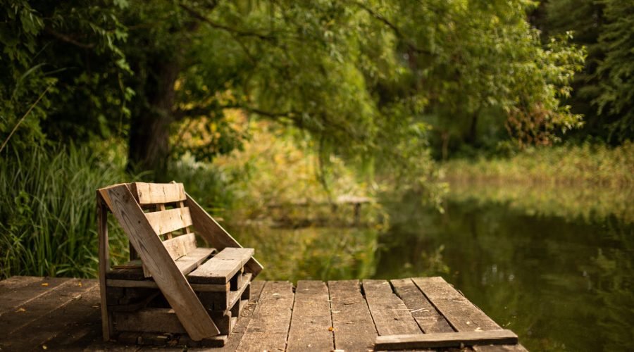 A wooden bench on the deck on the lake surrounded by greens